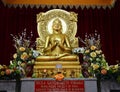 Buddha Statue at Sarnath Royalty Free Stock Photo