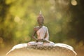 Buddha statue sitting in zen lotus and meditating in nature Royalty Free Stock Photo