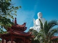 Buddha statue surrounded at Chua Hue Chieu temple in Kontum, Vietnam Royalty Free Stock Photo