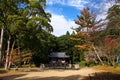 Buddha statue and temple of Daigo-ji