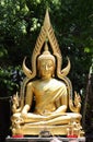 The buddha statue in temple