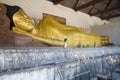 Buddha statue in temple Wat Chedi Luang, Thailand