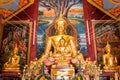 Buddha statue , temples in Chiang Mai ,Thailnd Royalty Free Stock Photo