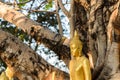 Buddha statue in Thai's temple Royalty Free Stock Photo