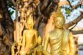 Buddha statue in Thai's temple Royalty Free Stock Photo