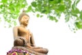 Buddha statue under the bodhi tree