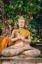 Buddha Statue Under a Sacred Tree Royalty Free Stock Photo