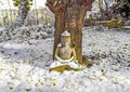 Buddha Statue under a tree in wintertime Royalty Free Stock Photo