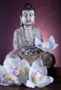 Buddha statue, vivid colors, natural tone Royalty Free Stock Photo