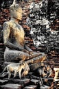 Buddha statue at Wat Yai Chaimongkol Ayutthaya bangkok thailand. Royalty Free Stock Photo