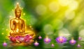 Buddha statue water lotus Buddha standing on lotus flower on orange background Royalty Free Stock Photo