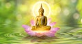 Buddha statue water lotus Buddha standing on lotus flower on orange background Royalty Free Stock Photo