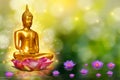 Buddha statue water lotus Buddha standing on lotus flower on orange background Royalty Free Stock Photo