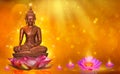 Buddha statue water lotus Buddha standing on lotus flower on orange background Royalty Free Stock Photo