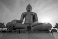 Buddha statue at Watmuang in Thailand