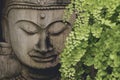 Buddha statue wooden old from B.Tawai, Chiang Mai, Thailand