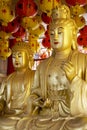 Buddha Statues Royalty Free Stock Photo