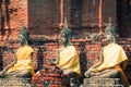 Buddha Statues Ayutthaya Thailand