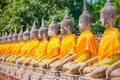 Buddha statues in Ayutthaya, Thailand. In 1767, the city was dest Royalty Free Stock Photo