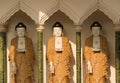 Buddha Statues, Chinese temple, Penang, Malaysia