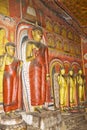 Buddha Statues at Dambulla Rock Temple, Sri Lanka Royalty Free Stock Photo