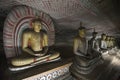 Buddha Statues at Dambulla Rock Temple, Sri Lanka Royalty Free Stock Photo