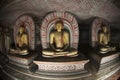 Buddha Statues at Dambulla Rock Temple, Sri Lanka Royalty Free Stock Photo