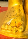 Buddha statues foot. peace in the mind