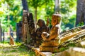 Buddha Statues in forest