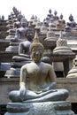 Buddha Statues at Gangaramaya Temple Royalty Free Stock Photo