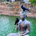 Buddha statues in Seema Malaka temple, Colombo, Sri Lanka