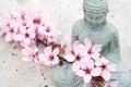 Buddha statuette with blooming sakura branch on concrete background with copy space Royalty Free Stock Photo