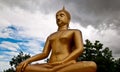 The Buddha status Royalty Free Stock Photo