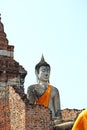 Buddha Status and the pagoda