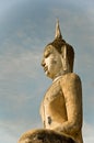 The buddha status of sukothai historical park Royalty Free Stock Photo