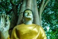 Buddha staue in Darabhirom Forest Monastery Royalty Free Stock Photo