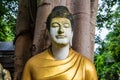 Buddha staue in Darabhirom Forest Monastery Royalty Free Stock Photo