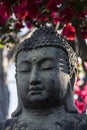 Buddha stone head detail Royalty Free Stock Photo