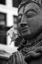 A buddha stone statue with flying bird Royalty Free Stock Photo