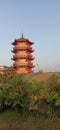 A Buddha tempel standing in sunset Royalty Free Stock Photo