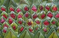 Buddha Thai flower texture decoration