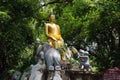 The Buddha Thailand Temple Buddhism God Gold Travel Religion