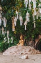 Buddha under the Bo tree at Wat Phan-Tao temple Royalty Free Stock Photo