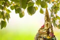 Buddha under Bodhi Leaf on nature background. Sacred Tree for Bu Royalty Free Stock Photo