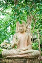 Buddha under tree