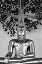 Buddha under the tree in black and white