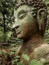 Buddha vestige in green nature at Wat Umong, Chiang Mai, Thailand, green buddha portrait covered with moss