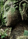 Buddha vestige in green nature at Wat Umong, Chiang Mai, Thailand, green buddha portrait covered with moss