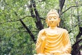 Buddha worshiper Royalty Free Stock Photo