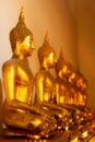 Buddhas in Wat Po